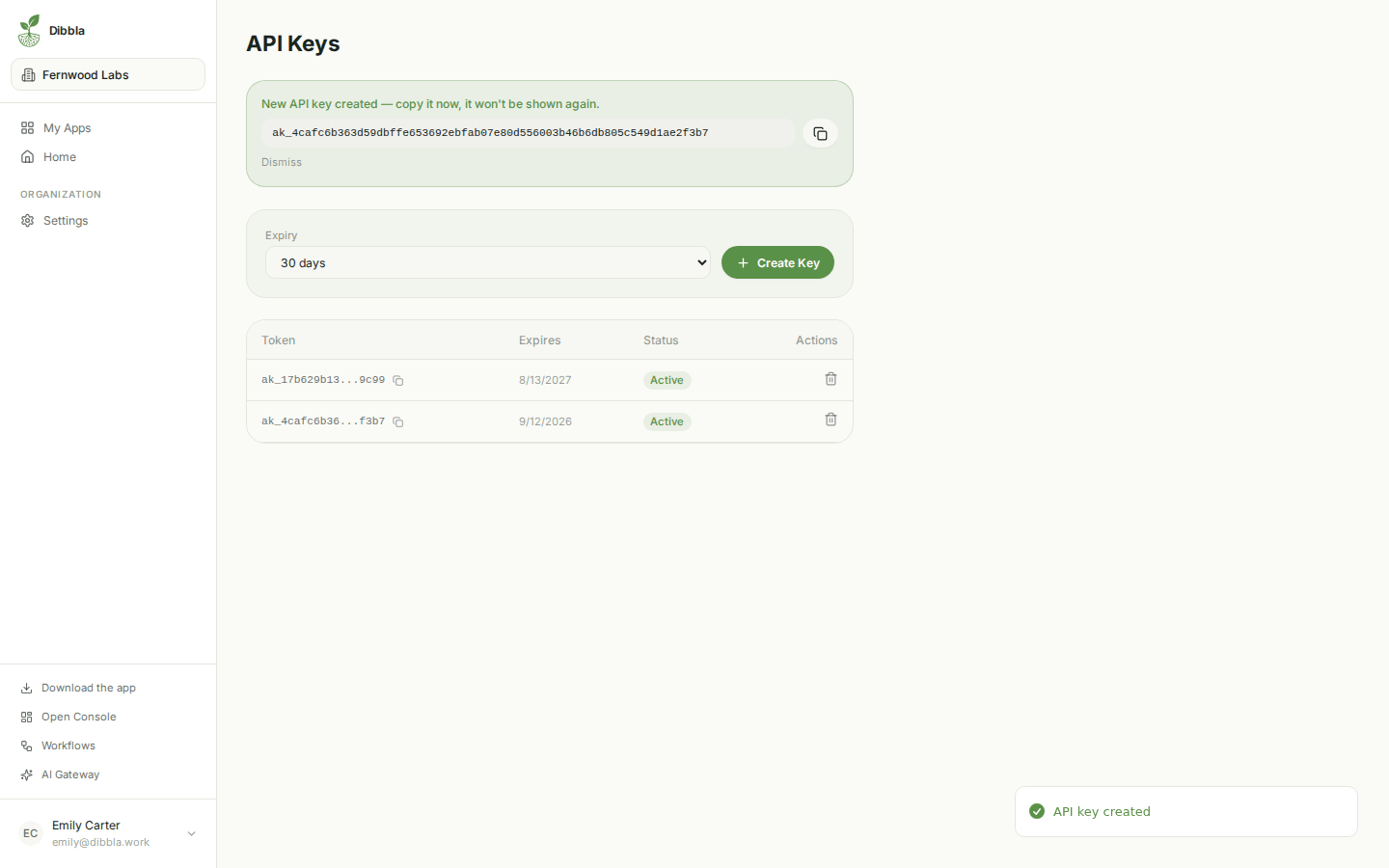 The one-time API token reveal in the portal