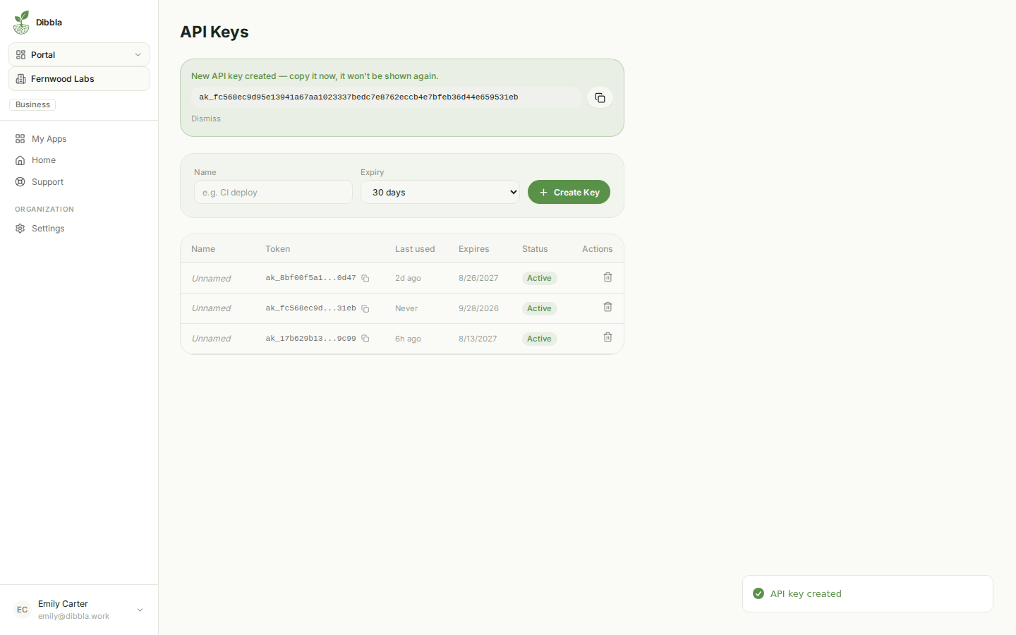 The one-time API token reveal in the portal
