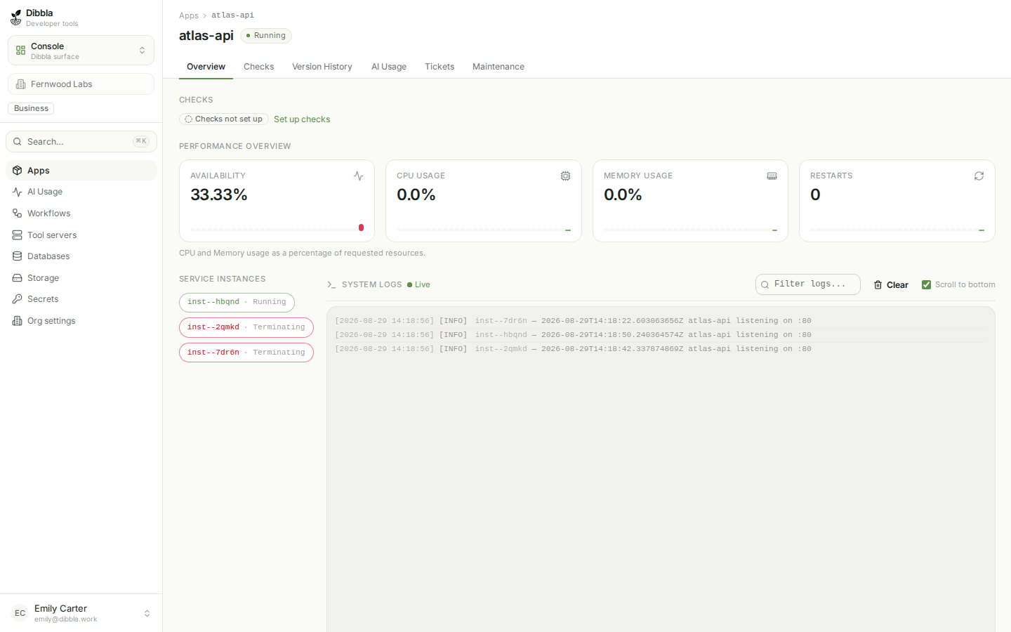 An app overview in the console, with status, resources and the log pane